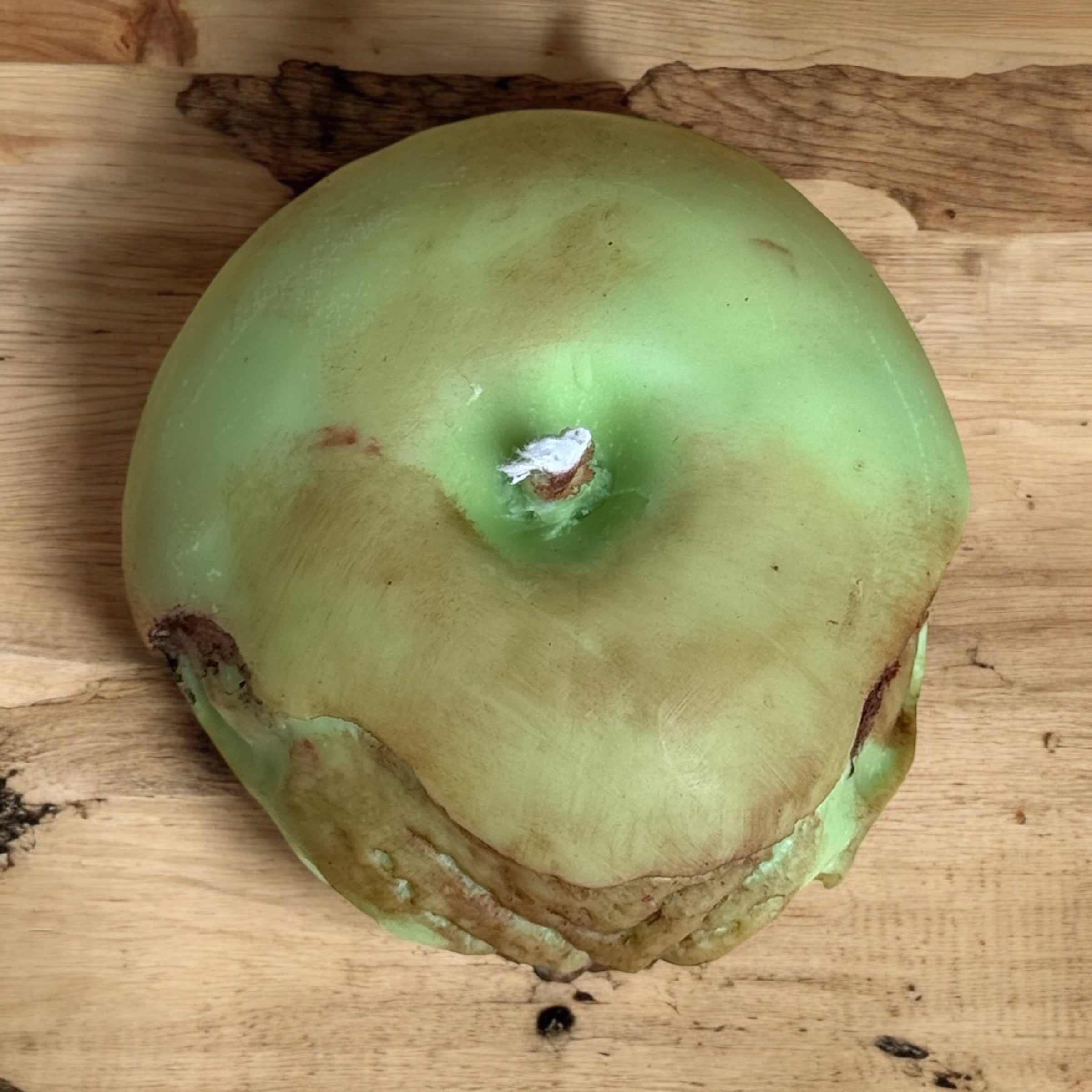 Zombie Apple