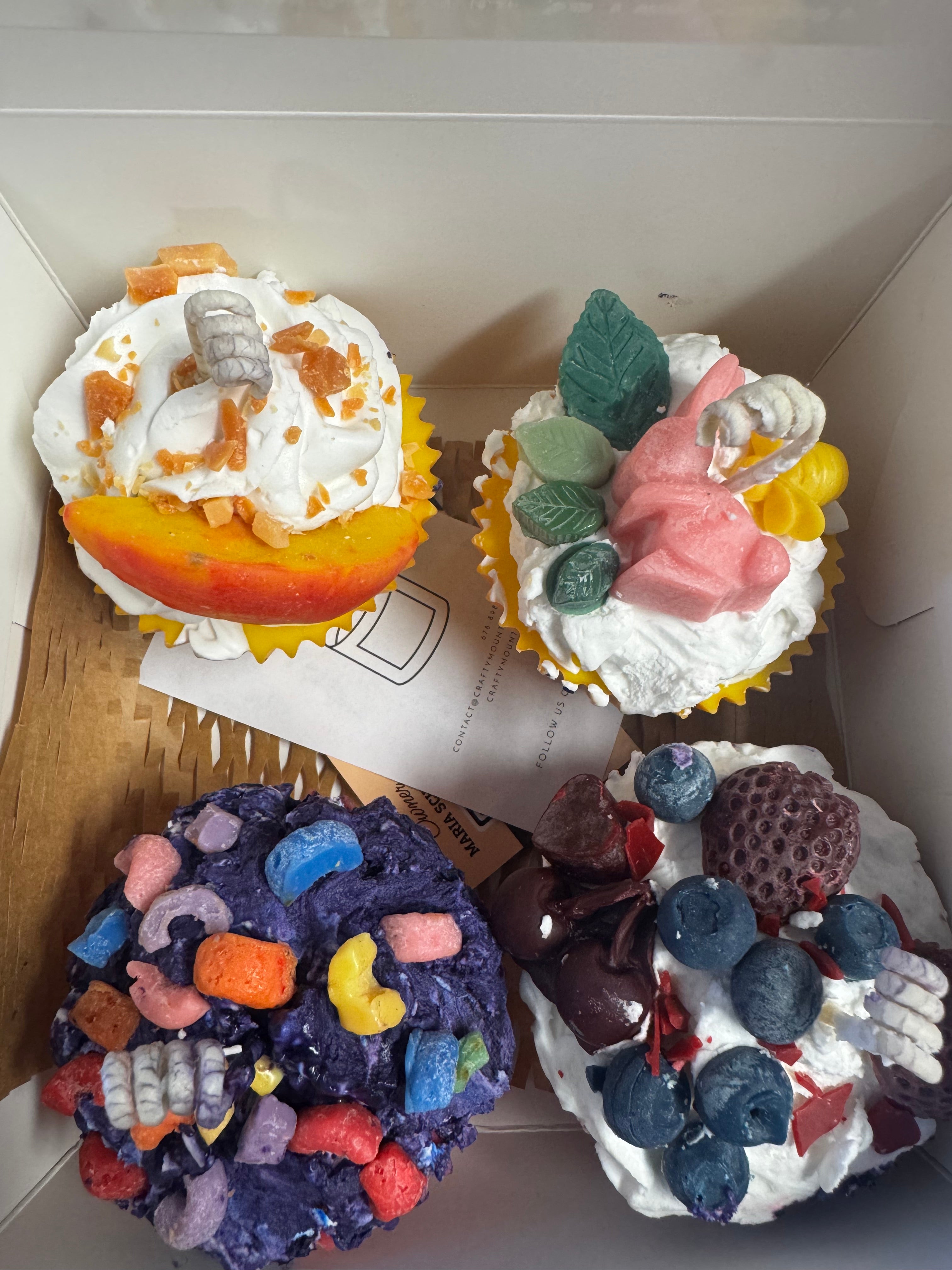 Cupcake Workshop Class