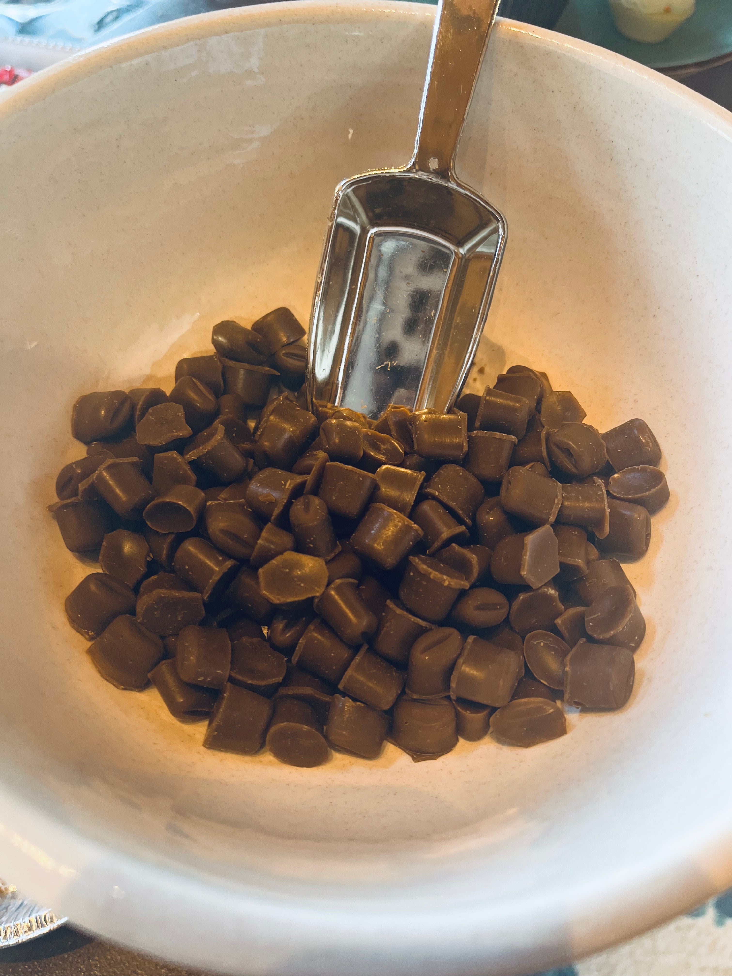 Coffee Beans Wax Melt