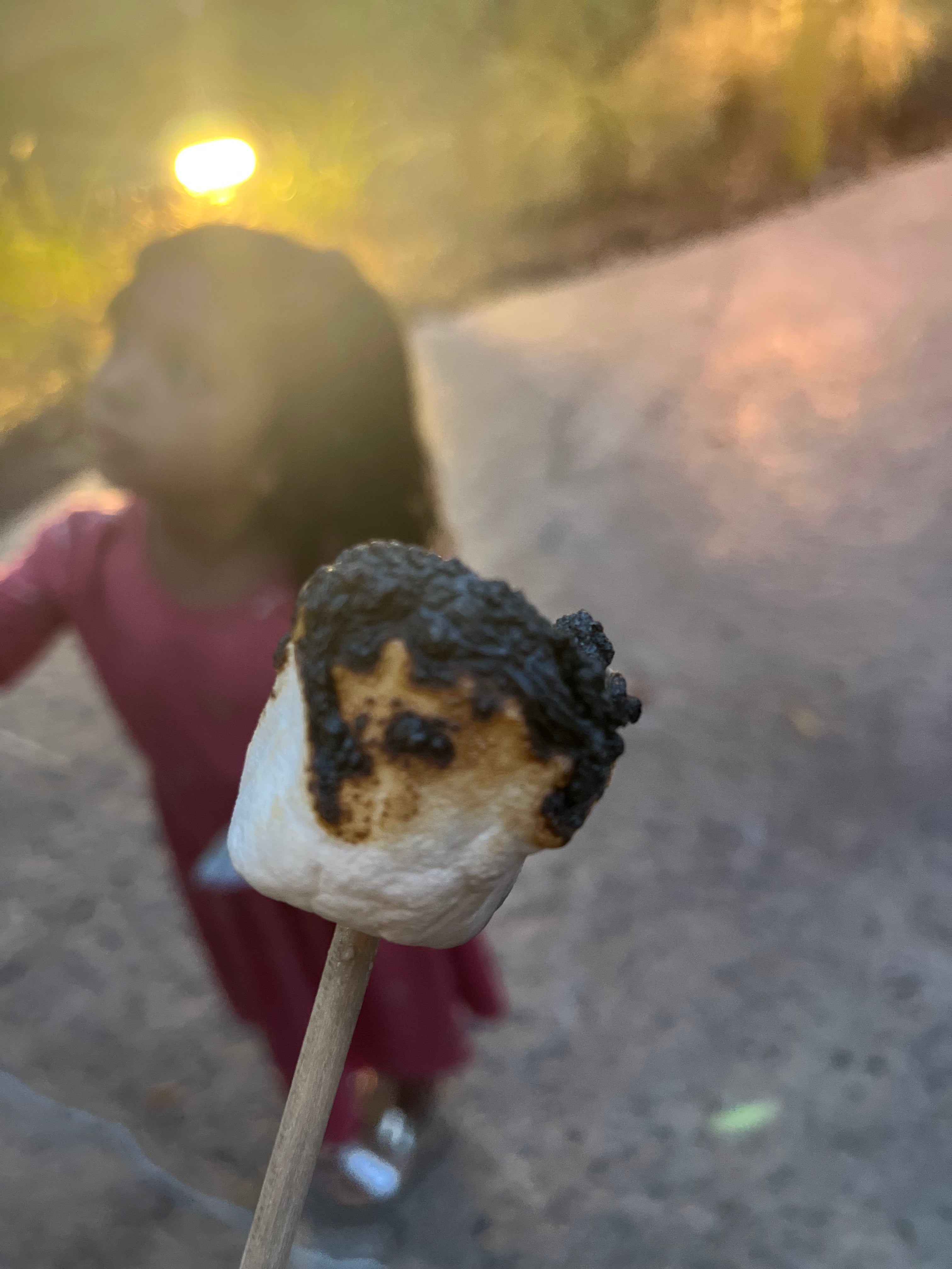 Campfire Marshmallows Container Candle